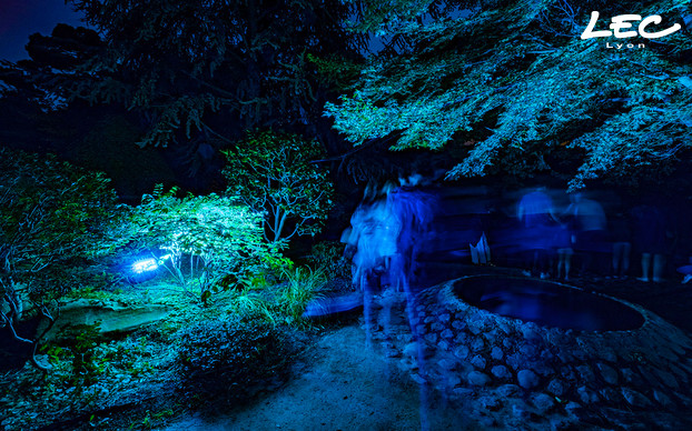 <p>Fairy light effects in the heart of the vegetation.</p>
